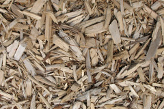 biomass boilers Stentwood